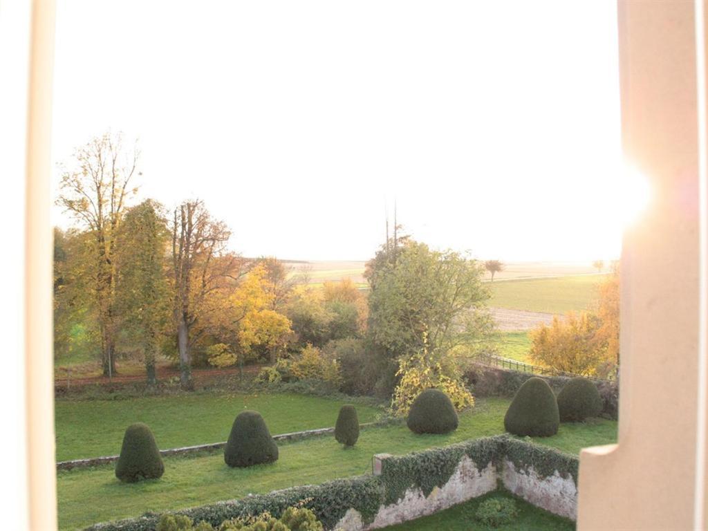 Le Chateau D'Osthoffen Cameră foto